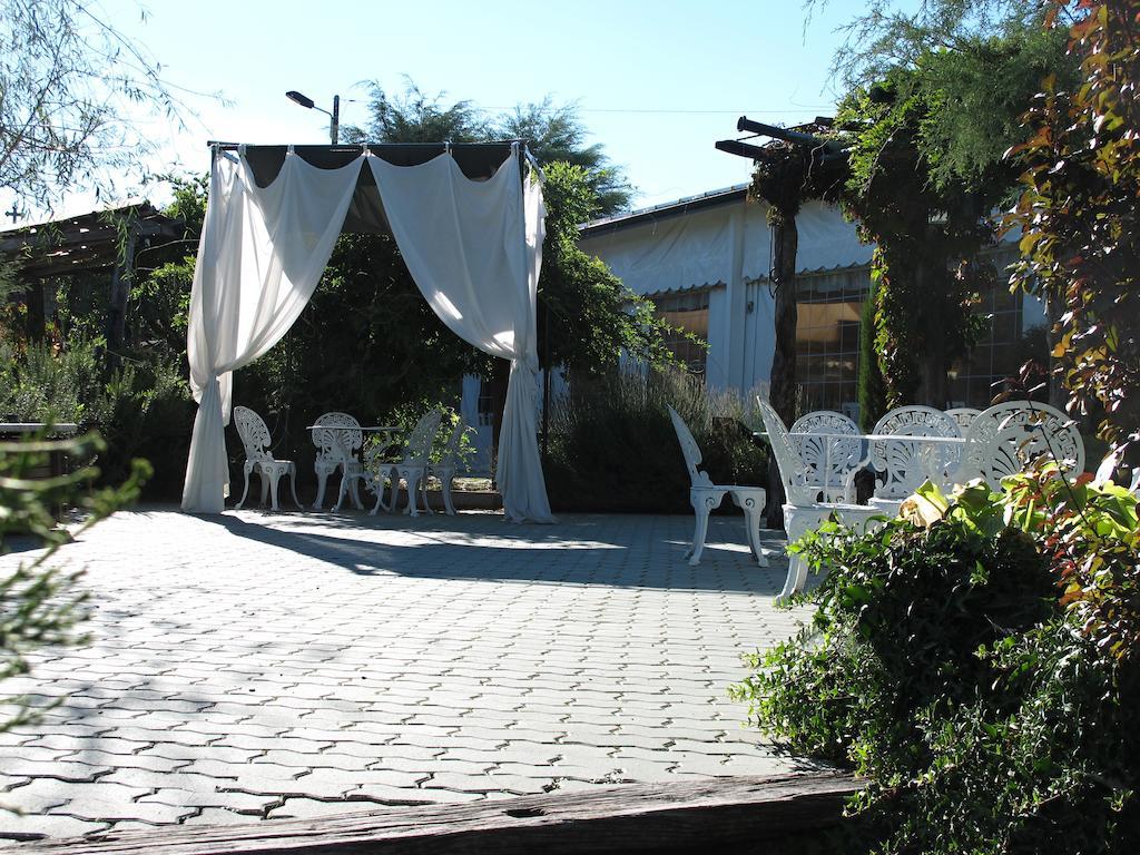 Bed and Breakfast Casa Do Redondo Rabaçal Zewnętrze zdjęcie
